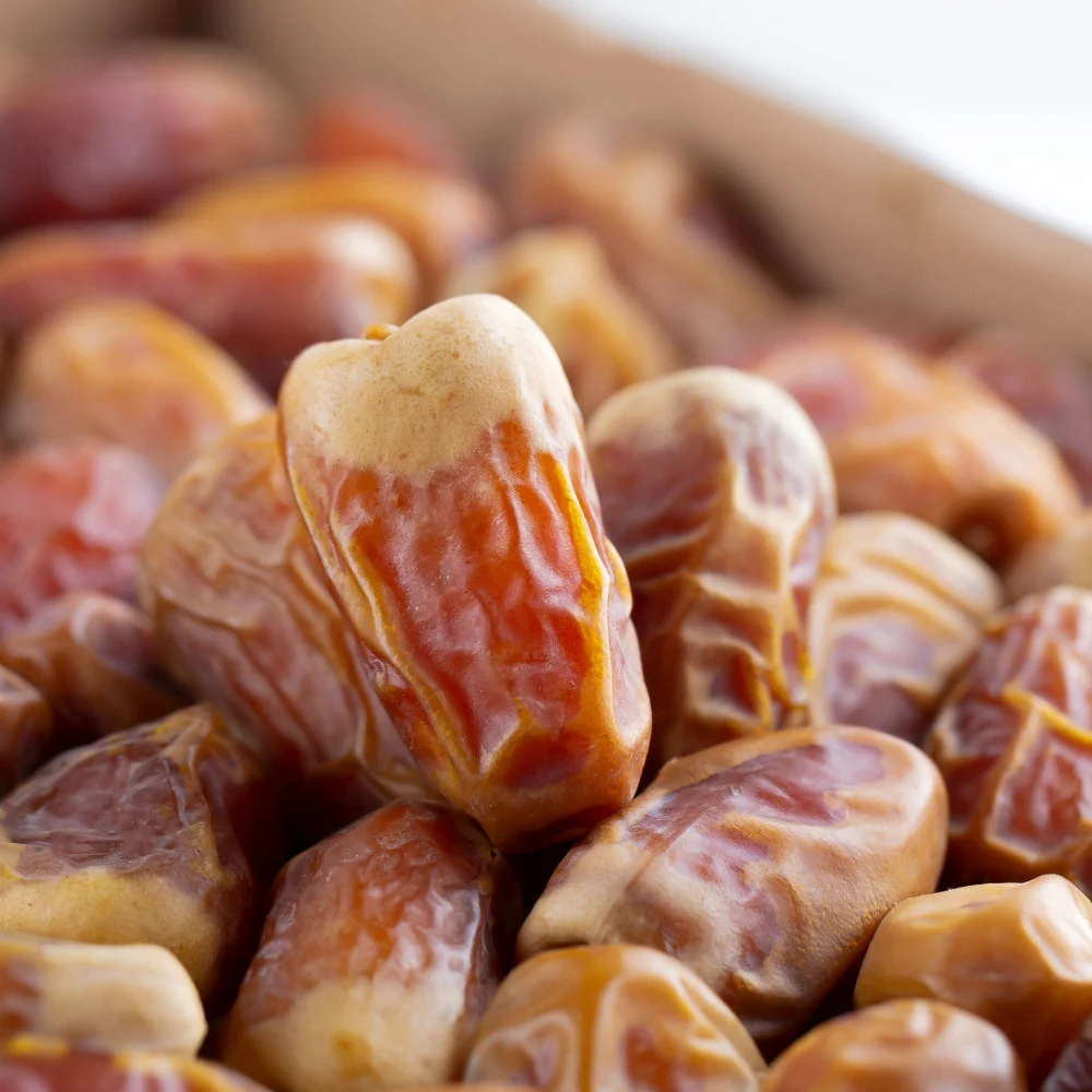 Segai dates
